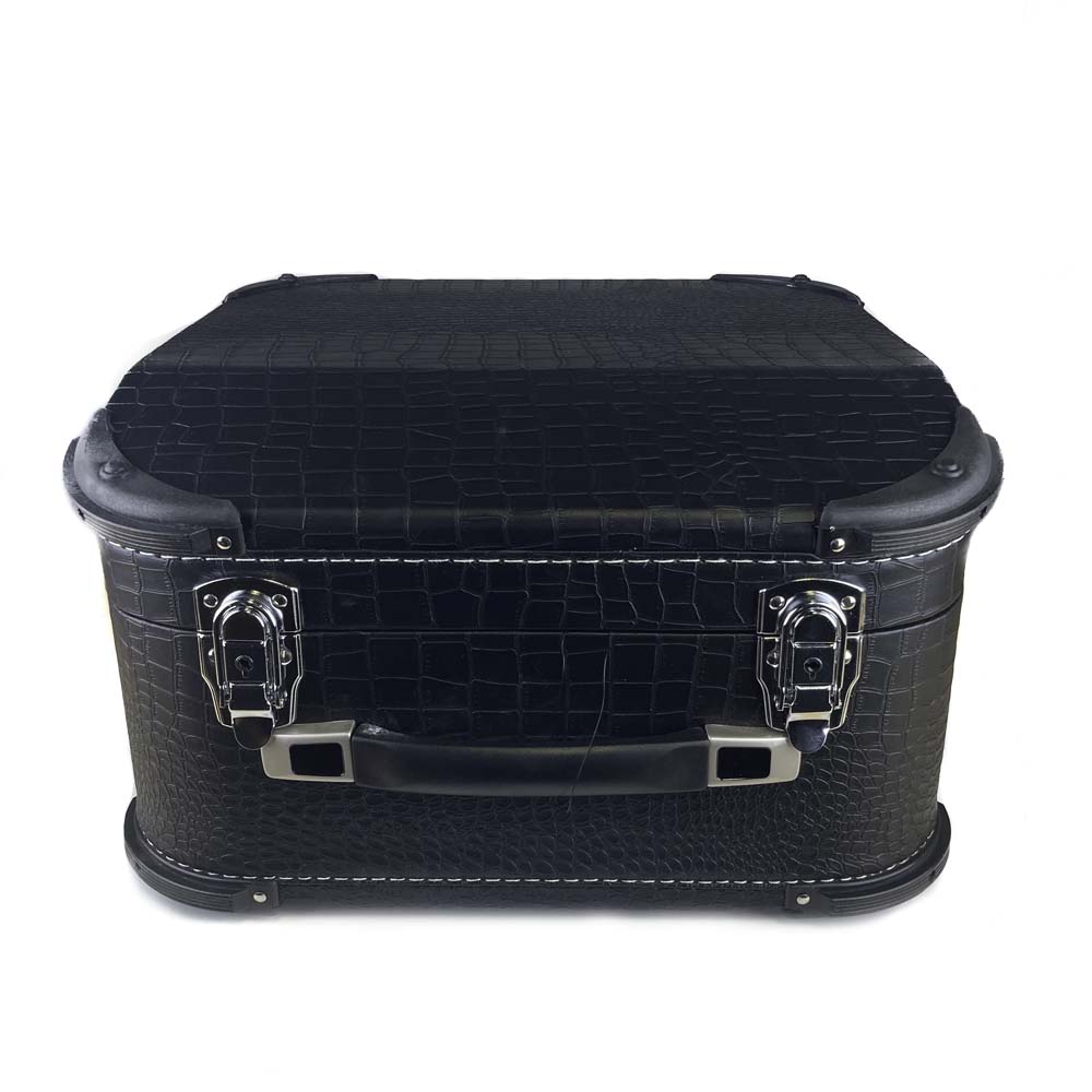 APC-3112 Deluxe 31 Button Accordion Hard Case-case-APC- Hermes Music