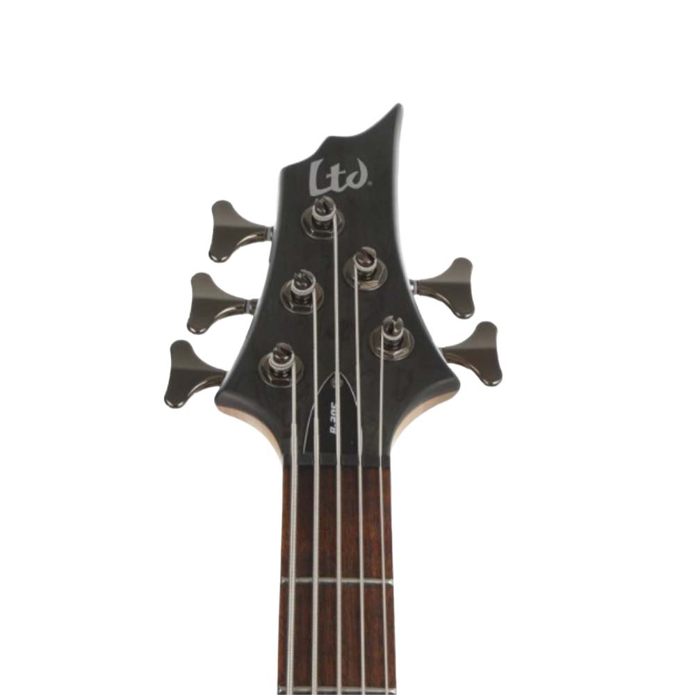 ESP LTD B-205SM Bass Guitar See Thru Black Satin-bass-ESP Guitars- Hermes Music