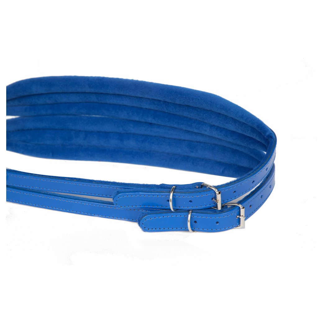 Hohner Accordion Leather Straps in Blue-accessories-Hohner- Hermes Music