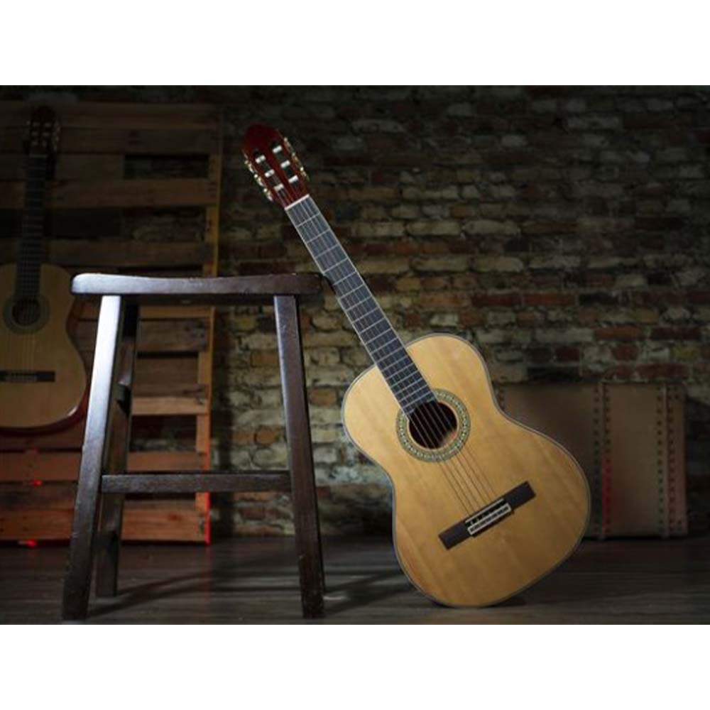 Peavey Delta Woods™ CNS-2™ Classical Nylon String Guitar-guitar-Peavey- Hermes Music