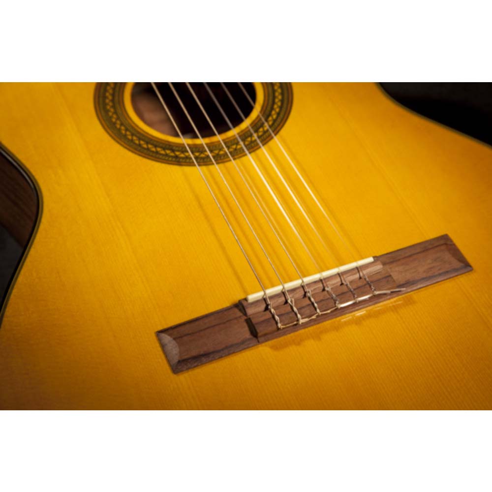 Takamine GC1CE Acoustic/Electric Classical Guitar Natural-guitar-Takamine- Hermes Music