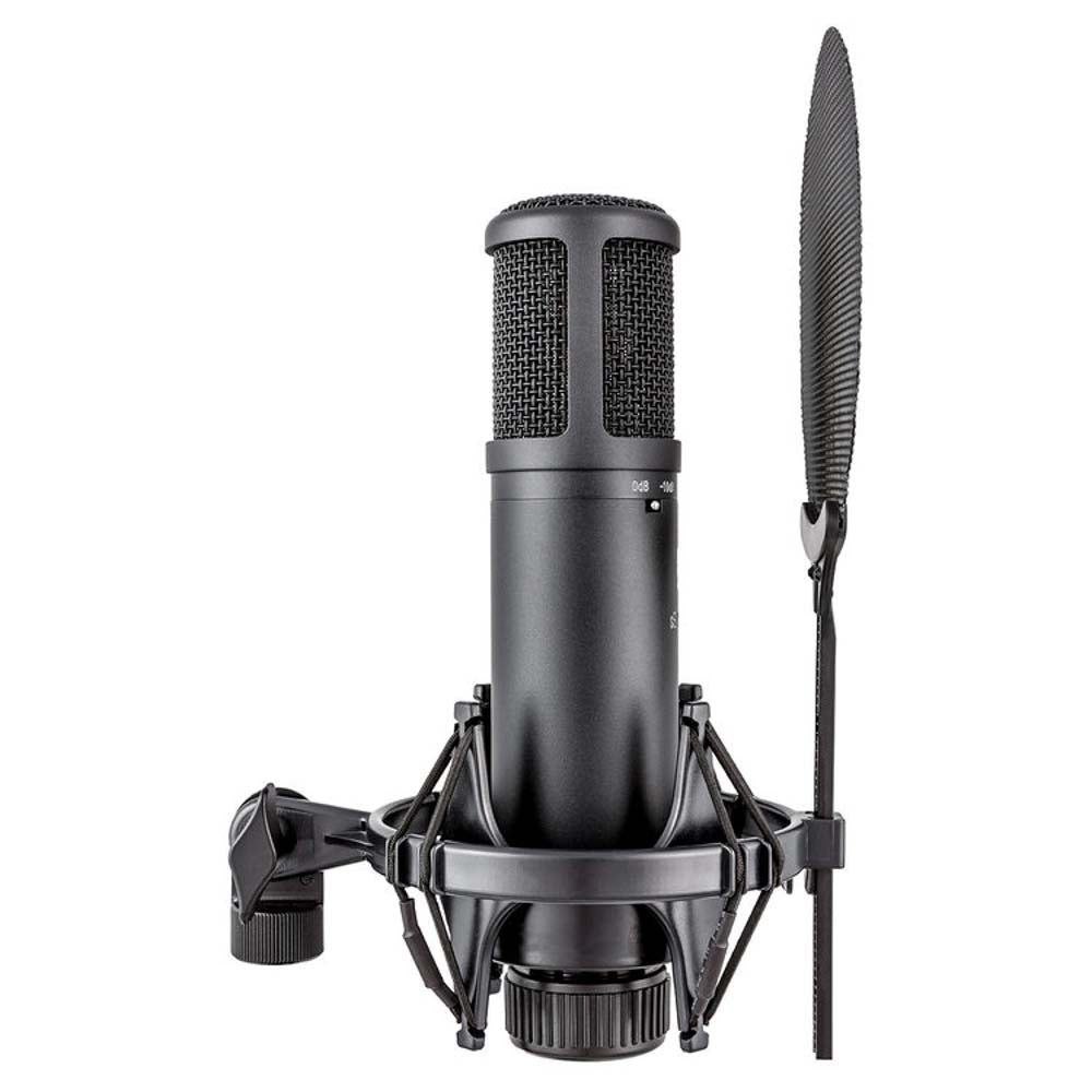 sE Electronics sE2200 Large Diaphragm Condenser Microphone with Shockmount & Filter-microphone-SE Electronics- Hermes Music